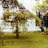 Binnentuin