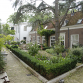 DSC5774
